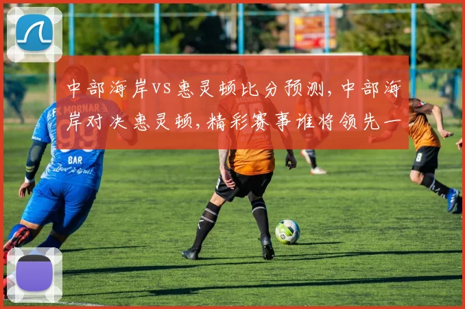 中部海岸vs惠灵顿比分预测,中部海岸对决惠灵顿,精彩赛事谁将领先一筹