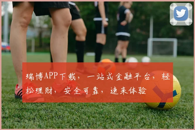 瑞博APP下载，一站式金融平台，轻松理财，安全可靠，速来体验