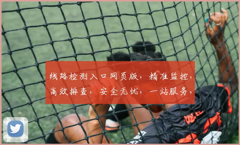 线路检测入口网页版，精准监控，高效排查，安全无忧，一站服务，便捷体验。