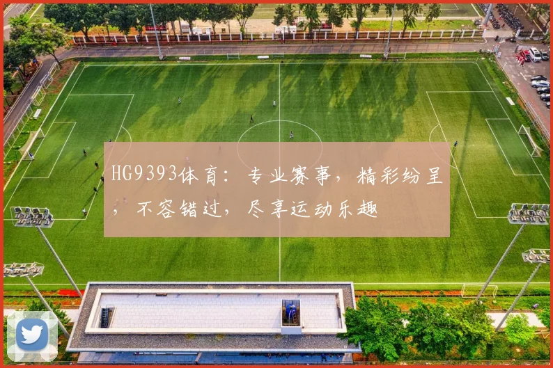 HG9393体育：专业赛事，精彩纷呈，不容错过，尽享运动乐趣