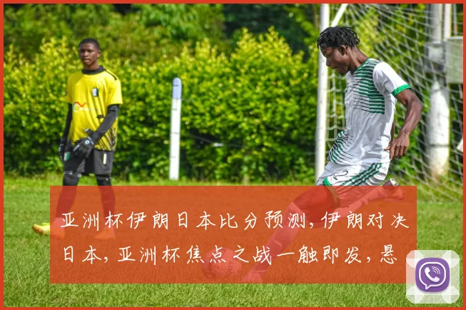 亚洲杯伊朗日本比分预测,伊朗对决日本,亚洲杯焦点之战一触即发,悬念重重